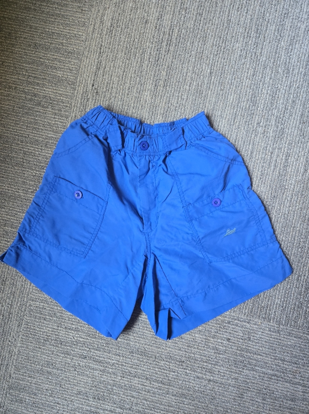 Southbound Bright Royal Blue Reef Shorts